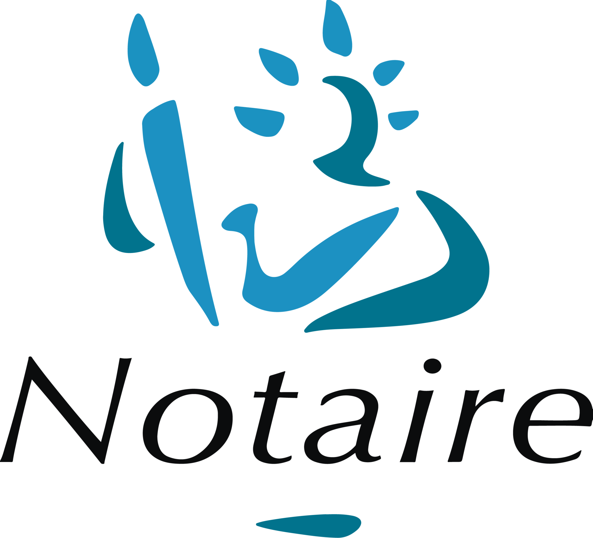 Notaires de France